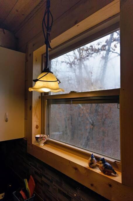 Hideaway Cabin Near Mammoth Springs, Ark 외부 사진